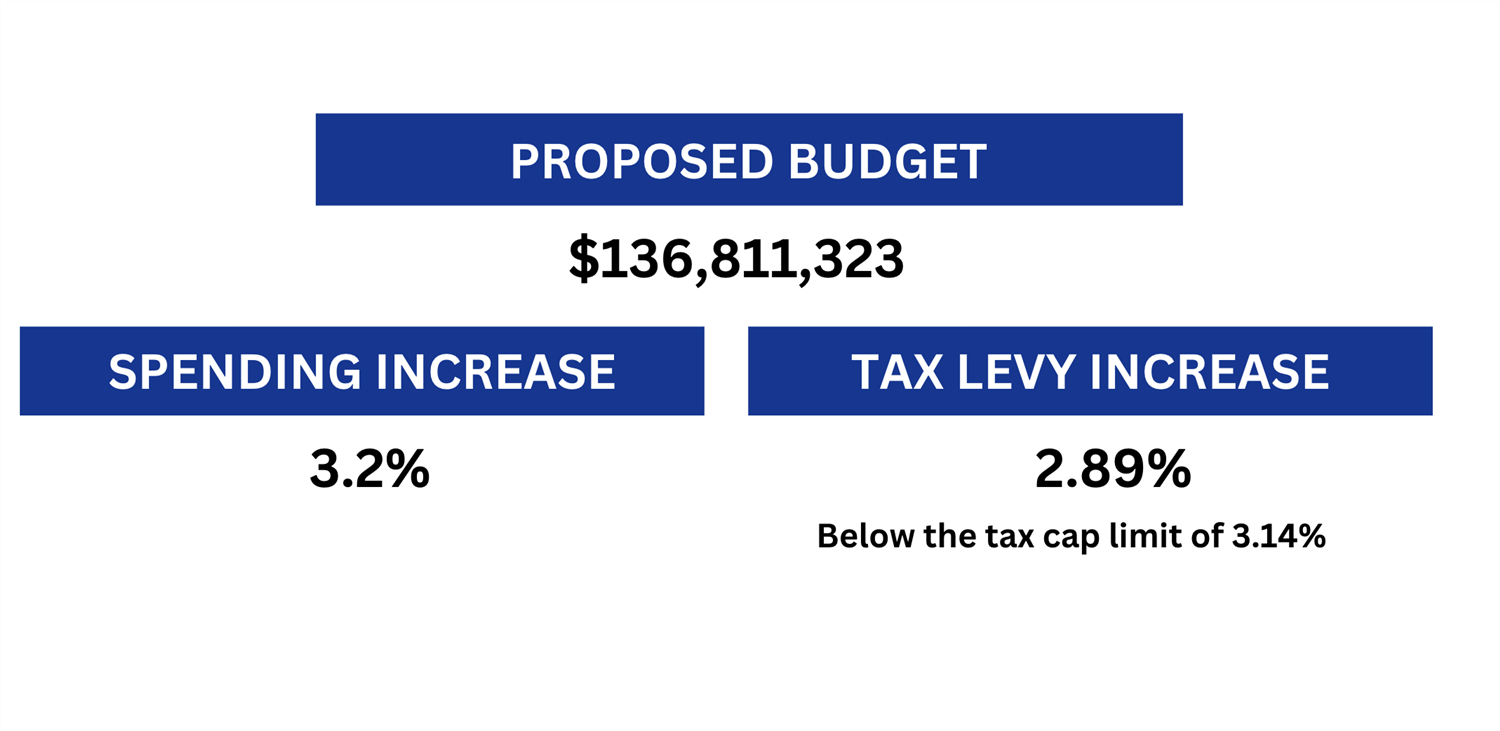2025 BUDGET