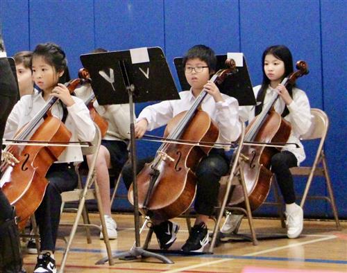 violinists.budget