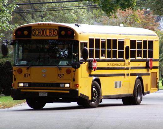 BUS 