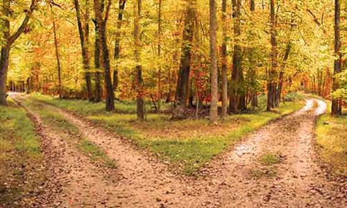 two roads 