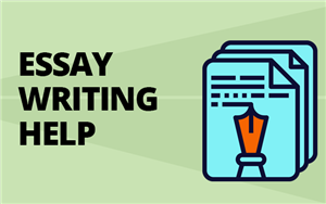 Essay Writing Help 